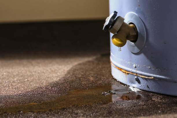 Best Emergency water damage restoration  in Adamsville, AL