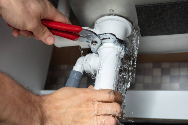 Best Ceiling water damage repair  in Adamsville, AL