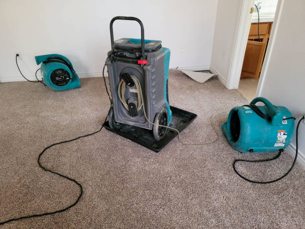 Best Fire Damage Restoration  in Adamsville, AL