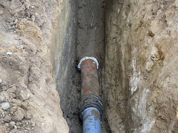 Best Sewage cleanup and water damage restoration  in Adamsville, AL