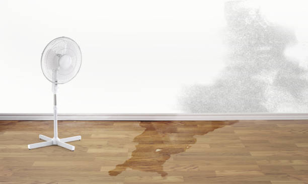 Best Residential water damage restoration  in Adamsville, AL