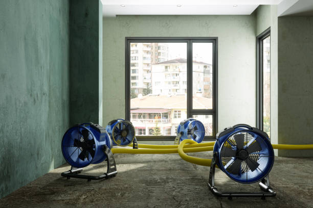 Best Water damage restoration experts  in Adamsville, AL