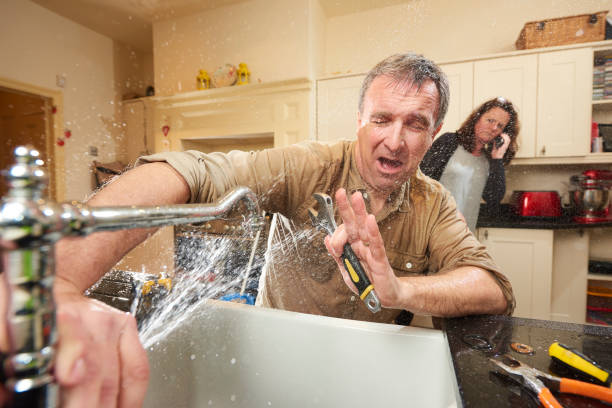 Best Professional water damage repair  in Adamsville, AL